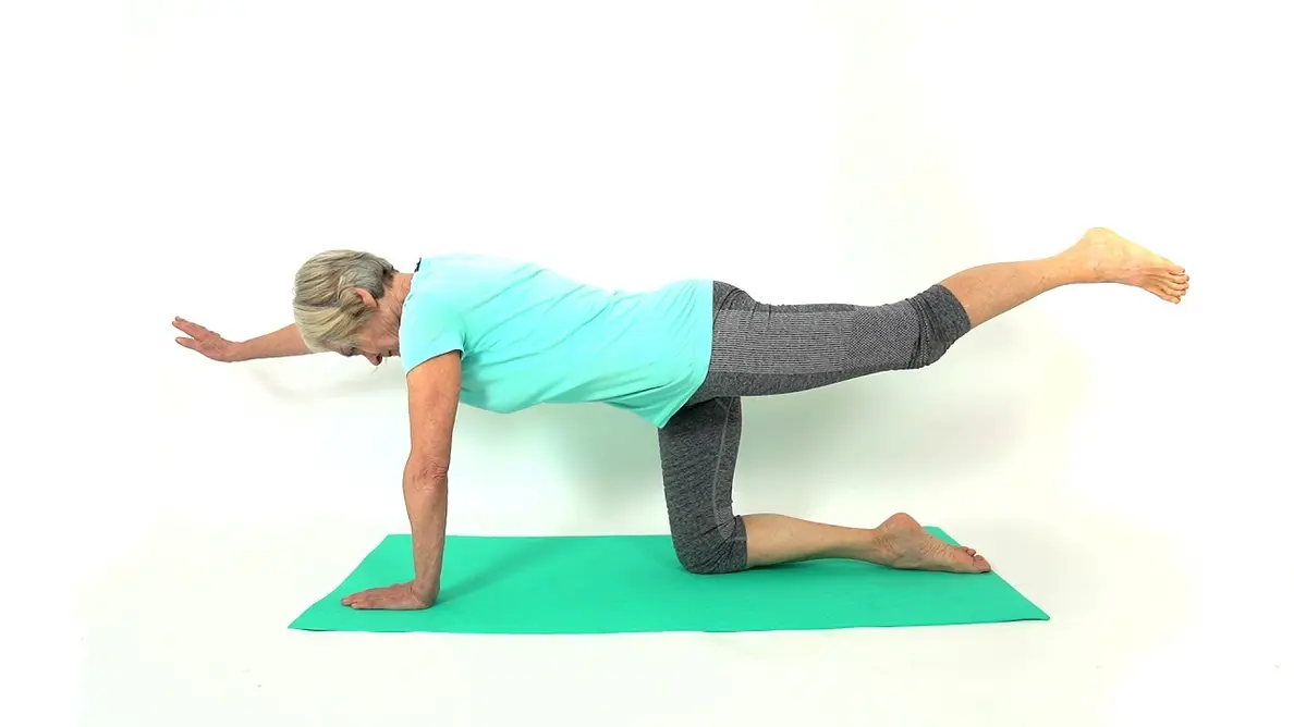 پرندهسگ برای سالمندان: افقی - YouTube