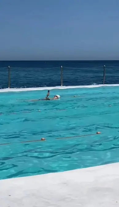 «این شاید بدترین چیز دیستوپی است که تا بهحال دیدهام»، گفت یک بیننده. Instagram / @browncardigan