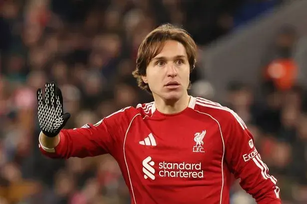 مهاجم لورپول فدریکو چیسه.